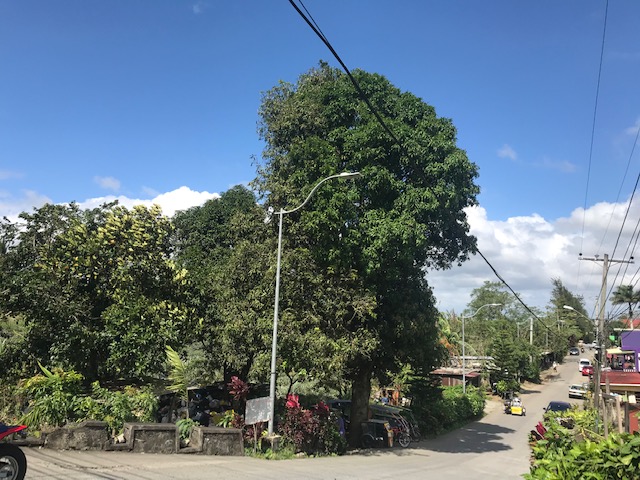 Residential Lot For Sale, Tagaytay City, Cavite 9