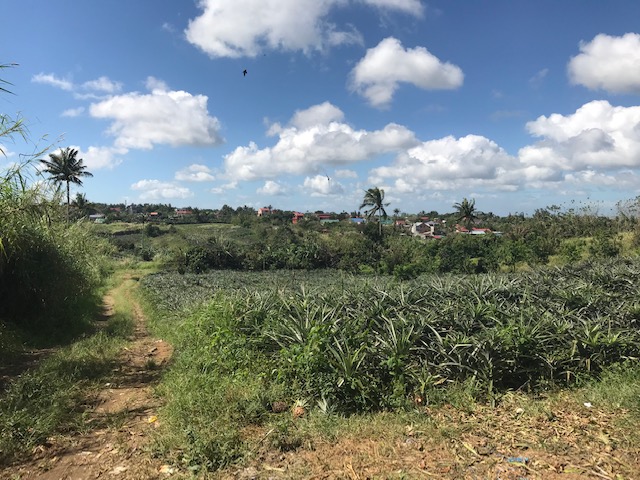 Agricultural Lot For Sale, Tolentino West, Tagaytay City