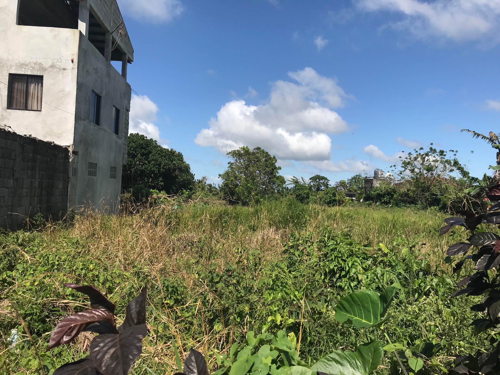 Vacant Lot For Sale, Brgy. Malabag, Silang, Cavite 1