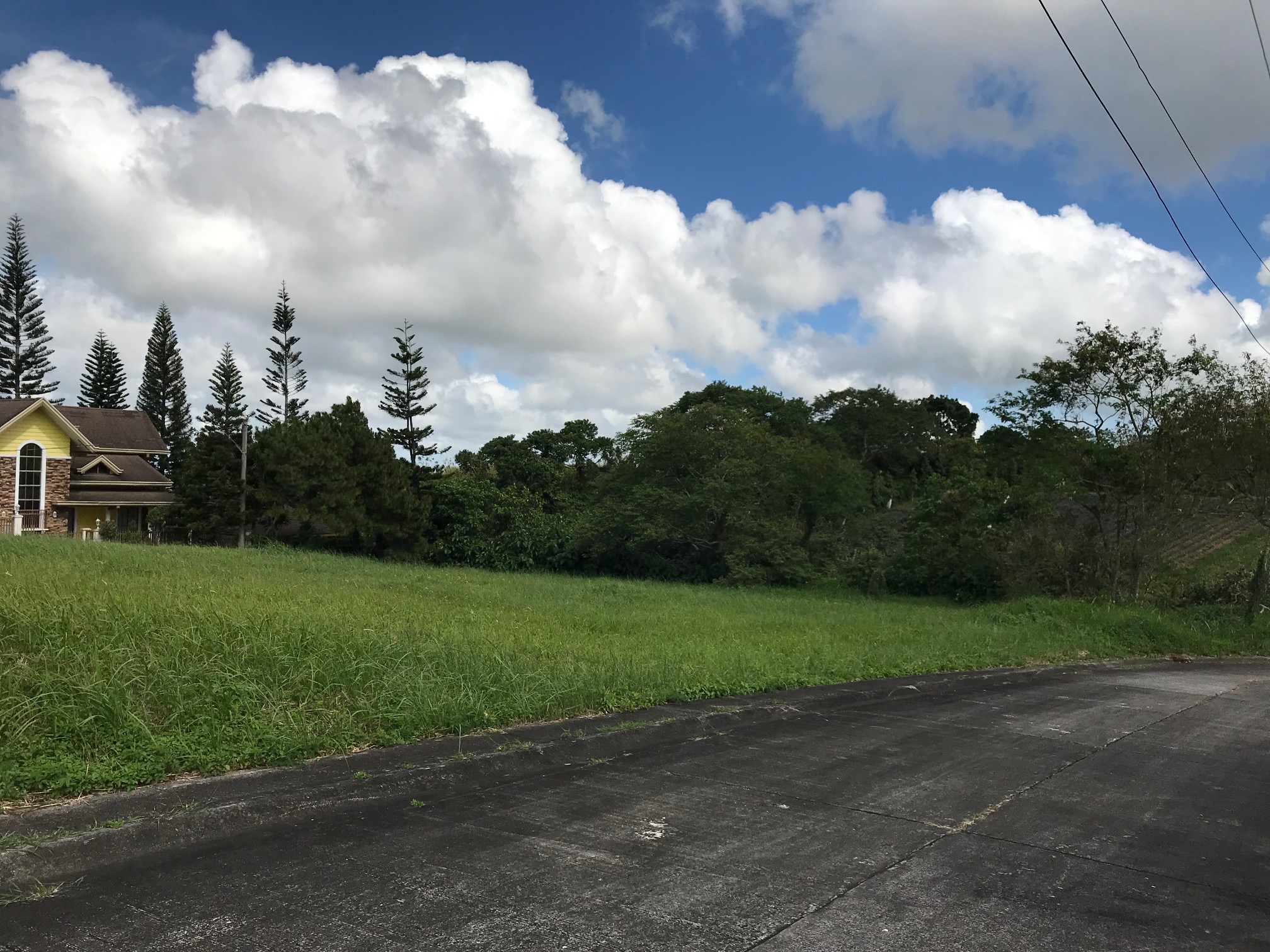 Vacant Lot For Sale Tagaytay Southridge Estates View 3
