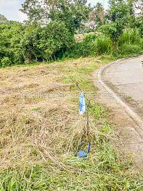 657 Sqm Vacant Lot For Sale, Tagaytay Southridge Estates, Tagaytay15-5k-2695