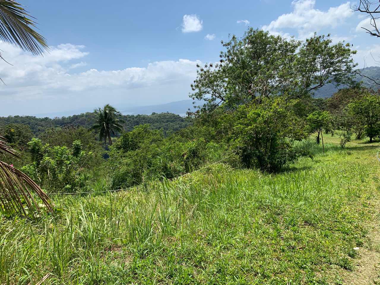 Vacant Lot For Sale, St. Francis drive, Tolentino, Tagaytay City