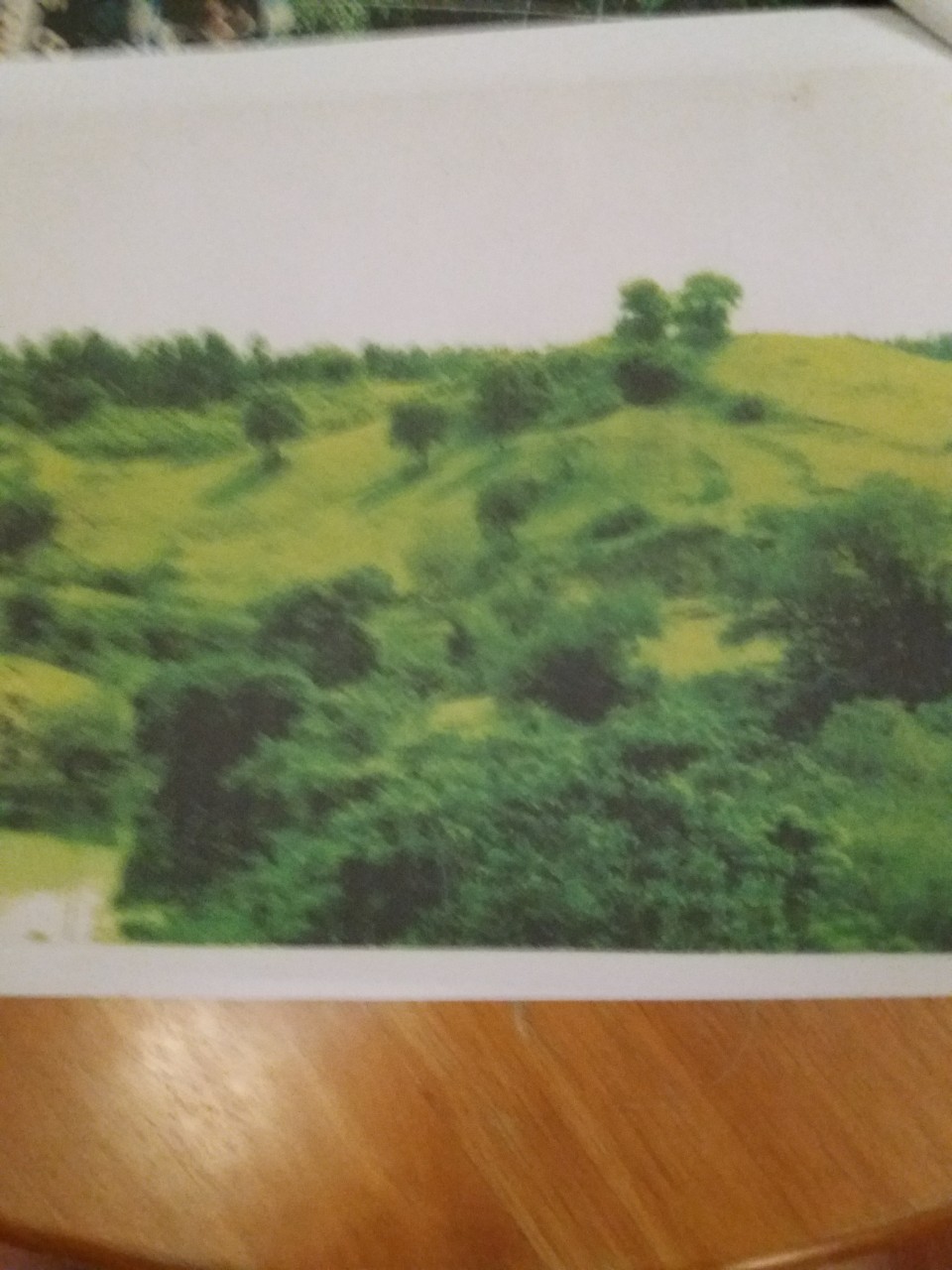 Lot For Sale, Balungao, Pangasinan