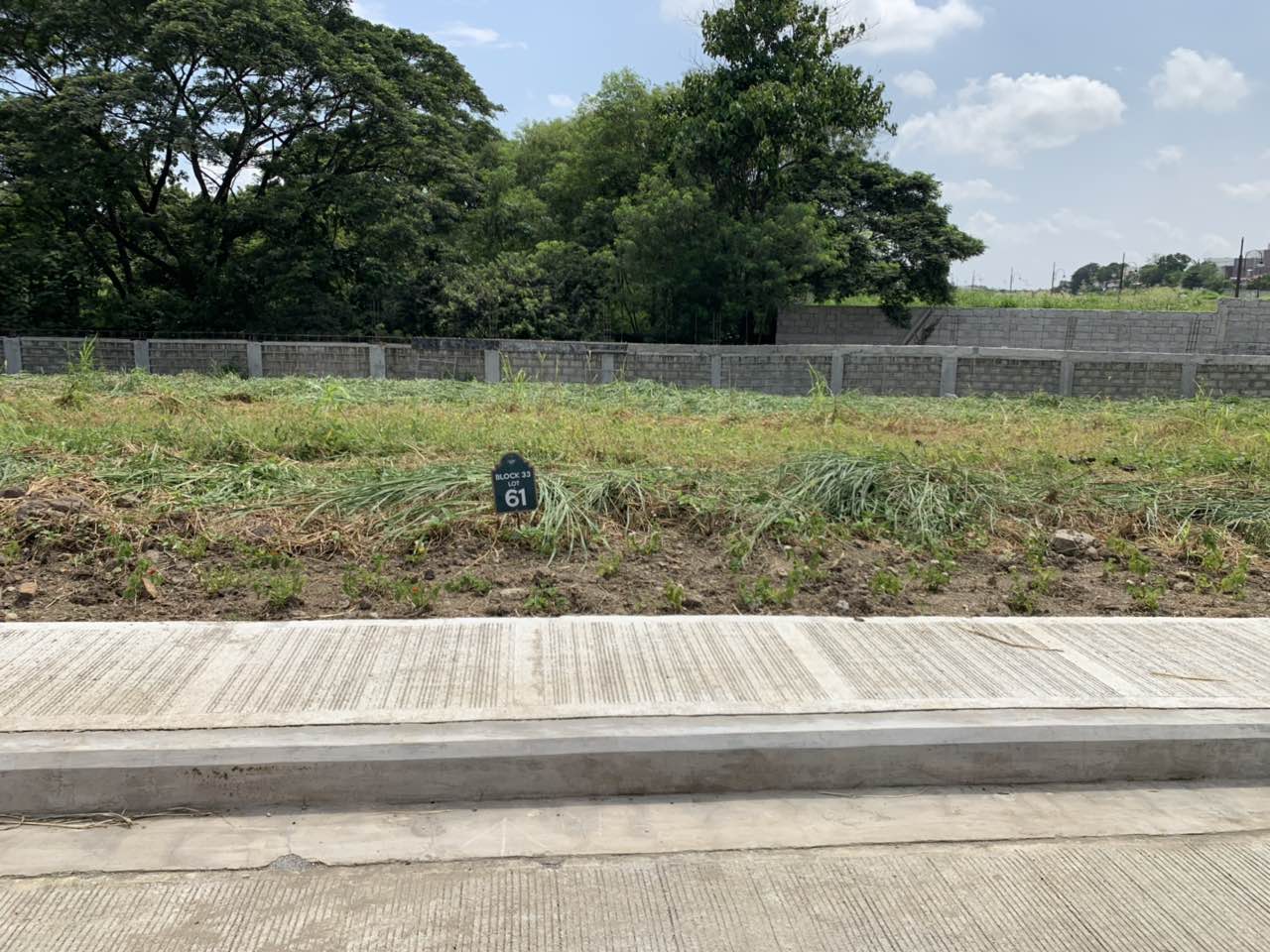 Lot For Sale at Alabang West, Las Pinas City