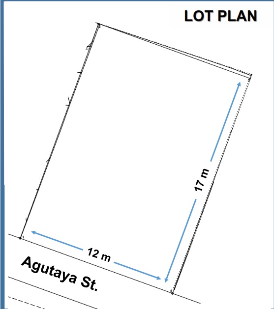 Agutaya Makati Lot Raw Land For Sale-LotPlan