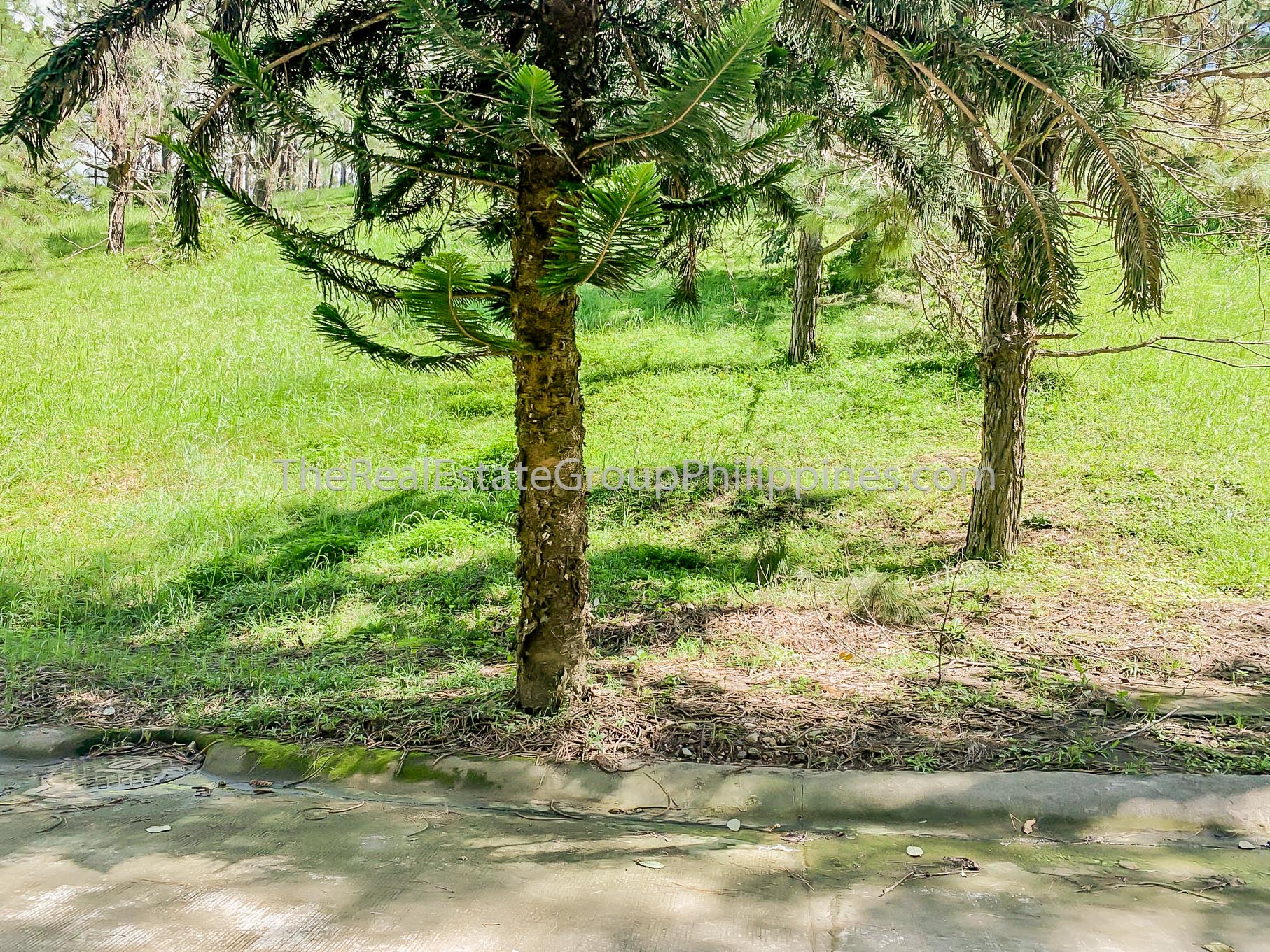 Residential Lot For Sale, Crosswinds Resort Suites, Tagaytay City (7 of 8)