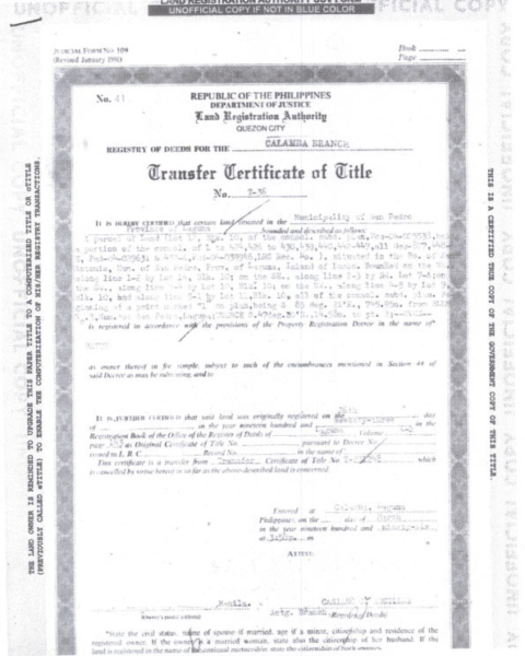Transfer Certificate of Title TCT 1 The Real Estate Group Philippines