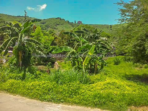 1300 Sqm Vacant Lot For Sale an Carlos heights subd bgy tayuman binangonan Rizal-6