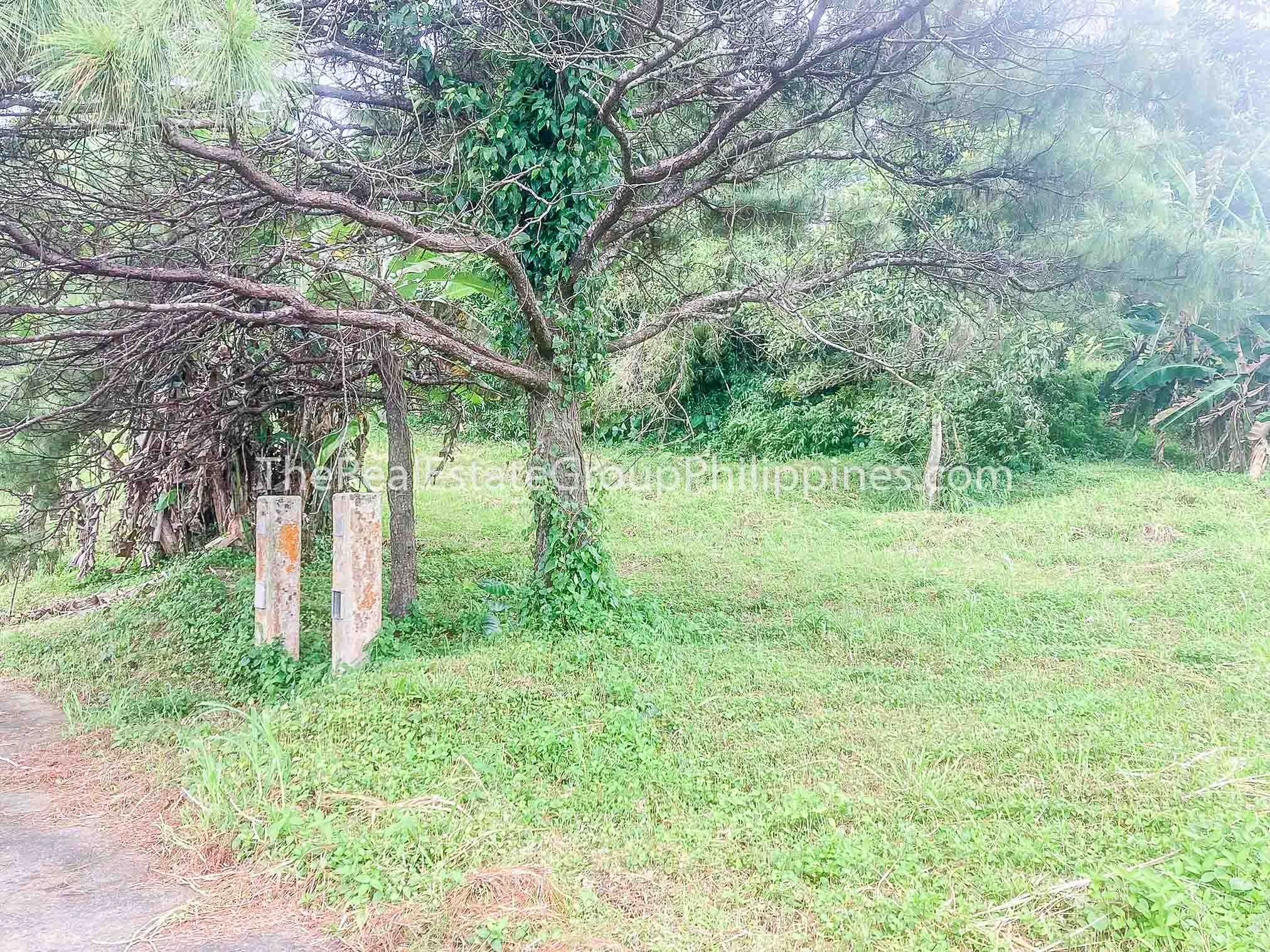 378 Sqm Vacant Lot For Sale Canyon Woods Resort Club Laurel Batangas